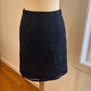 Elegant Navy Lace Skirt